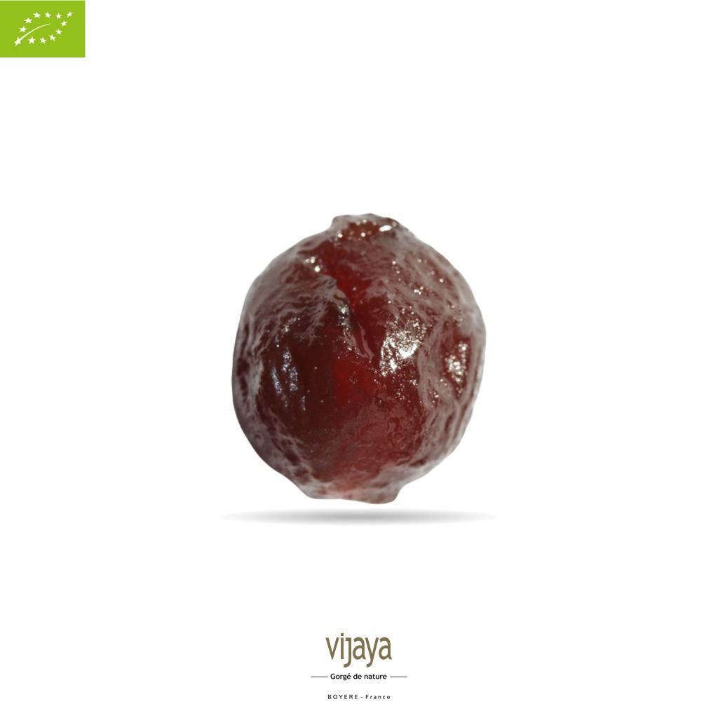 Vijaya